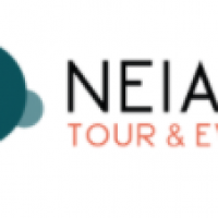 Arriva il Natale: i tour di Neiade Tour & Events sotto l’albero delle festività natalizie 2020