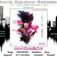 Fuori il 6 gennaio, la nuova compilation della White Dolphin Records : 