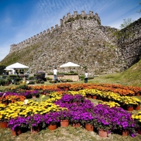 Dal 28 al 30 maggio torna FIORInellaROCCA – Mostra mercato di piante e fiori rari alla Rocca Visconteo Veneta di Lonato del Garda (BS)