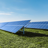 Il fotovoltaico dà buoni frutti: la perfetta sintonia tra coltivazione di frutti di bosco e produzione di energia fotovoltaica