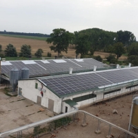 Energia solare dal pollaio: Sun Contracting allaccia alla rete due impianti da 1,3 MWp