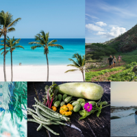 Perché scegliere l’isola di Aruba per tornare a viaggiare a lungo raggio