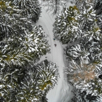 Slow o adrenaliniche? Le esperienze sulla neve da vivere sulle montagne bresciane
