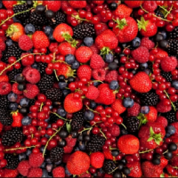 (Medicina in breve) – L’importanza dell’assunzione di frutta selvatica nella propria dieta.
