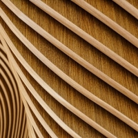 Finlandia: l'uso innovativo del legno stimola una bioeconomia circolare