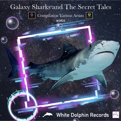 White Dolphin records presenta “Galaxy Sharks and The Secret Tales”, la nuova compilation di musica elettronica!