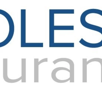 Wholesale Insurance S.r.l. - Nuovo sito online !
