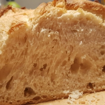 Pane e panettieri d’Italia 2025: ritorno ai grani locali per un’arte bianca che racconta il territorio