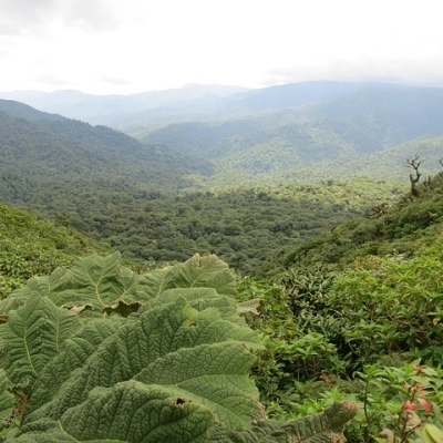 Una buona idea: trasferirsi in Costa Rica e vivere felici