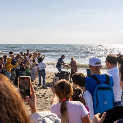 SALVATE E LIBERATE DUE TARTARUGHE CARETTA CARETTA 