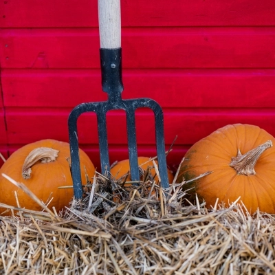 Campo di Zucche Agricola delle Meraviglie Steflor: gli eventi del 5 e 6 ottobre