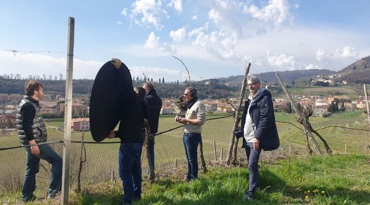 UNA VITA TRA LE VITI: IL CONSORZIO TUTELA COLLI BERICI E VICENZA SI RACCONTA IN TV