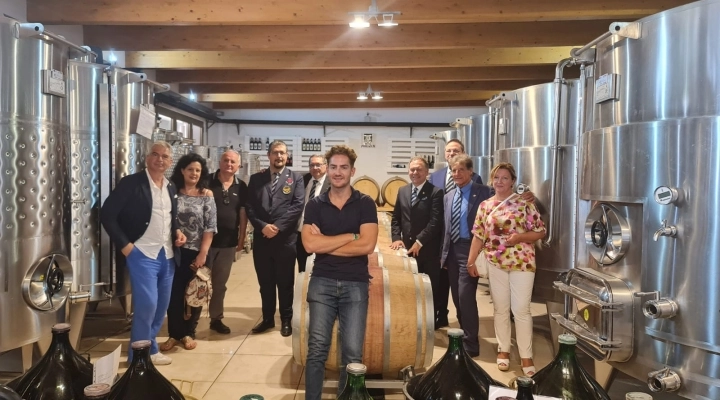 L’Amira Napoli Campania organizza una visita l’azienda vinicola Vitis Aurunca di Cellole