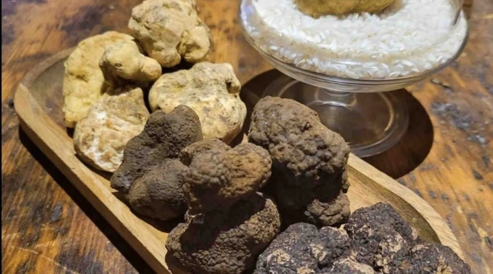 Il tartufo d'Alba si gusta anche a Como, alla Locanda dei Giurati