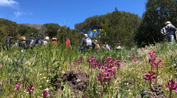 Pasquetta 2024 eco-escursione sul Vesuvio adatta a tutti