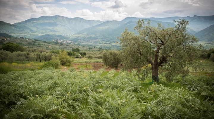 XII edizione di Bianco Tanagro