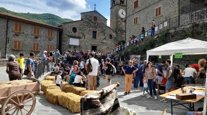 Il borgo di Raggiolo ospita la Festa di Transumanza