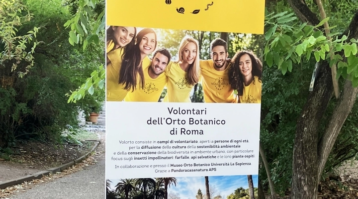 Per un rilancio della cultura e della educazione ortobotanica si riuniscono all’Orto Botanico di Roma diverse associazioni di volontariato