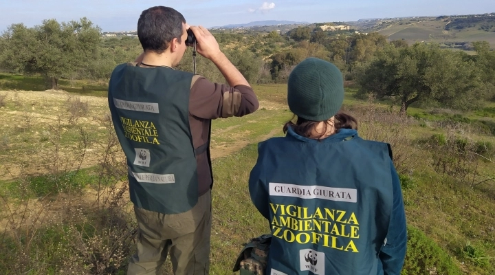 Sicilia, il TAR da’ ragione al WWF: Bonfanti ha agito correttamente, va annullata la revoca del decreto di guardia volontaria 