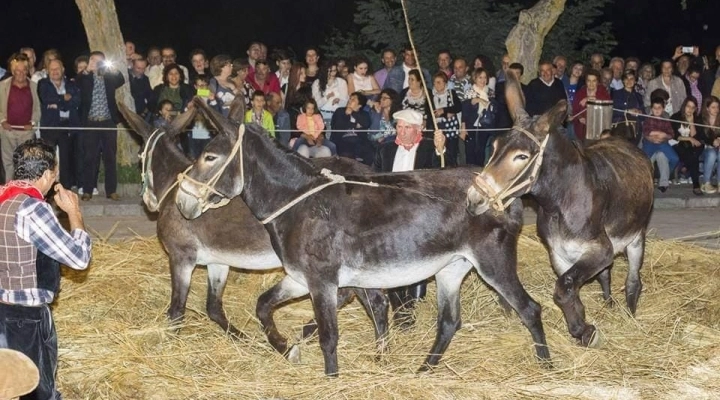 Degustazione per le vie di San Mauro Castelverde, domenica l’appuntamento con “Pani, Dolci e tanto altro…”  